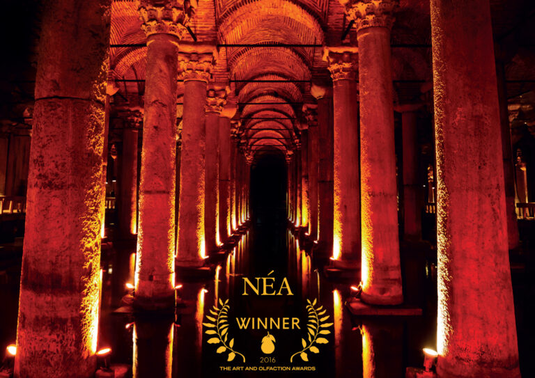 Flyer Nea Recto verso